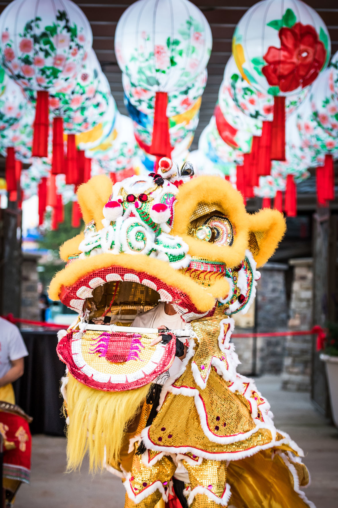 Lantern Festival